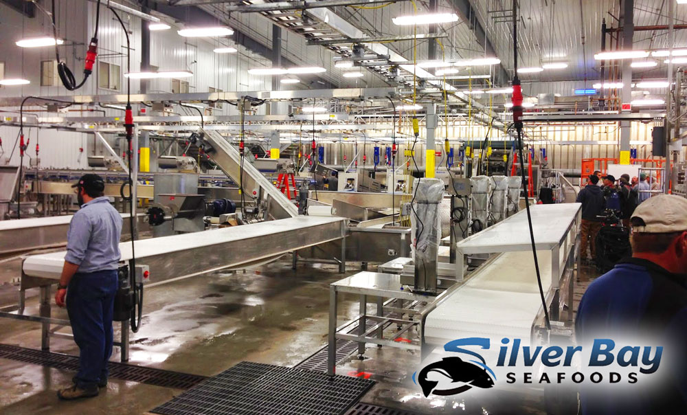 Silver Bay Seafoods United Work And Travel